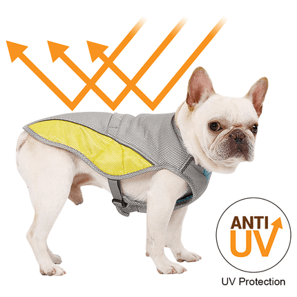 Premium French Bulldog Cooling Vest - Frenchie Complex Shop