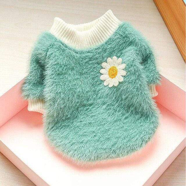 Daisy French Bulldog Girl Sweater - Turquoise / XS - Frenchie Complex Shop
