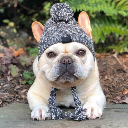 Winter Hat for French Bulldog - Frenchie Complex Shop