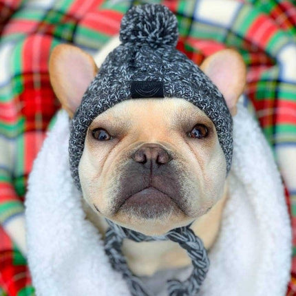Winter Hat for French Bulldog - Frenchie Complex Shop