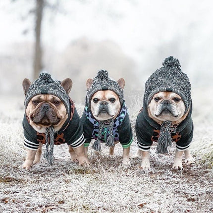 Winter Hat for French Bulldog - Frenchie Complex Shop
