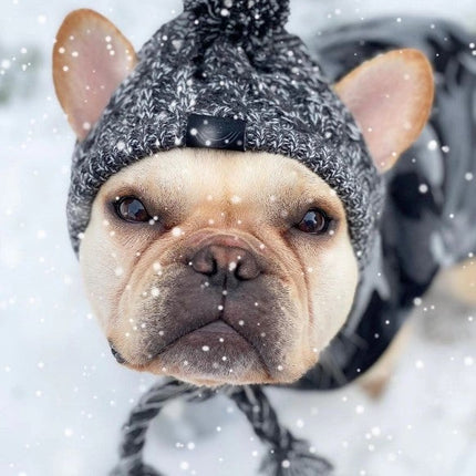 Winter Hat for French Bulldog - Frenchie Complex Shop