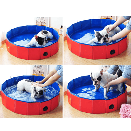 Swimming Pool for Dogs - Frenchie Complex Shop