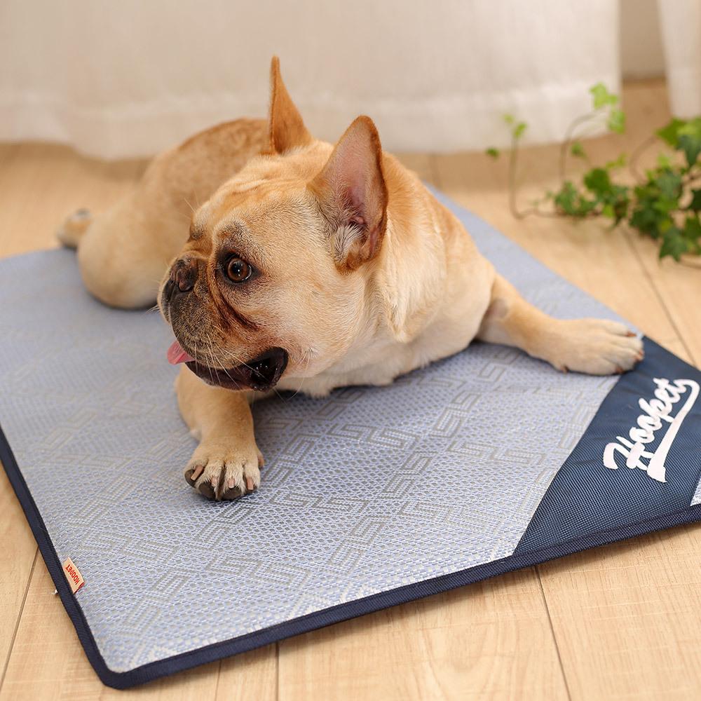 How to Select the Right Bed for Your Frenchie? – frenchie Shop