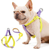 french bulldog harness