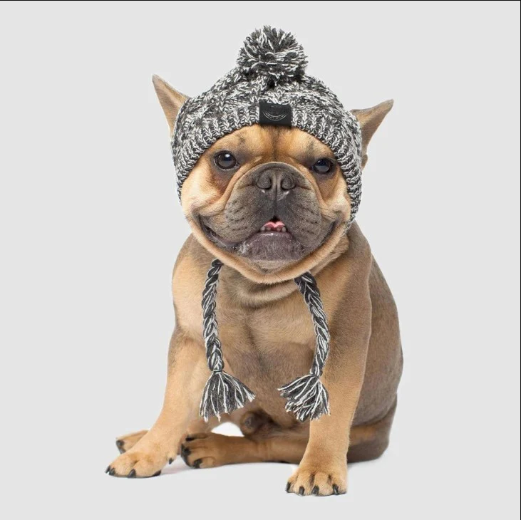 french bulldog hats