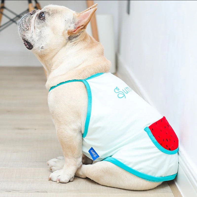 shirts for french bulldogs