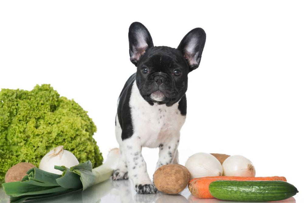 veggies for french bulldogs