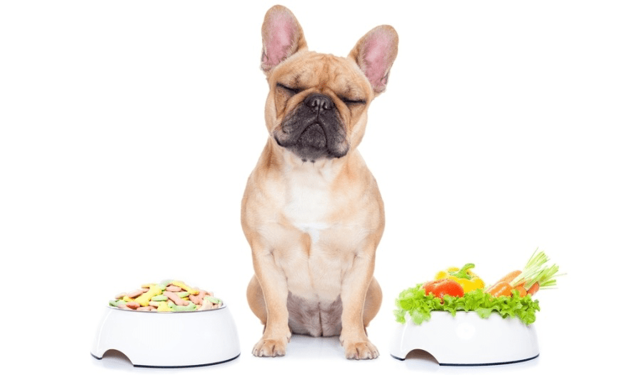 What Vegetables Can French Bulldogs Eat? - Frenchie Complex