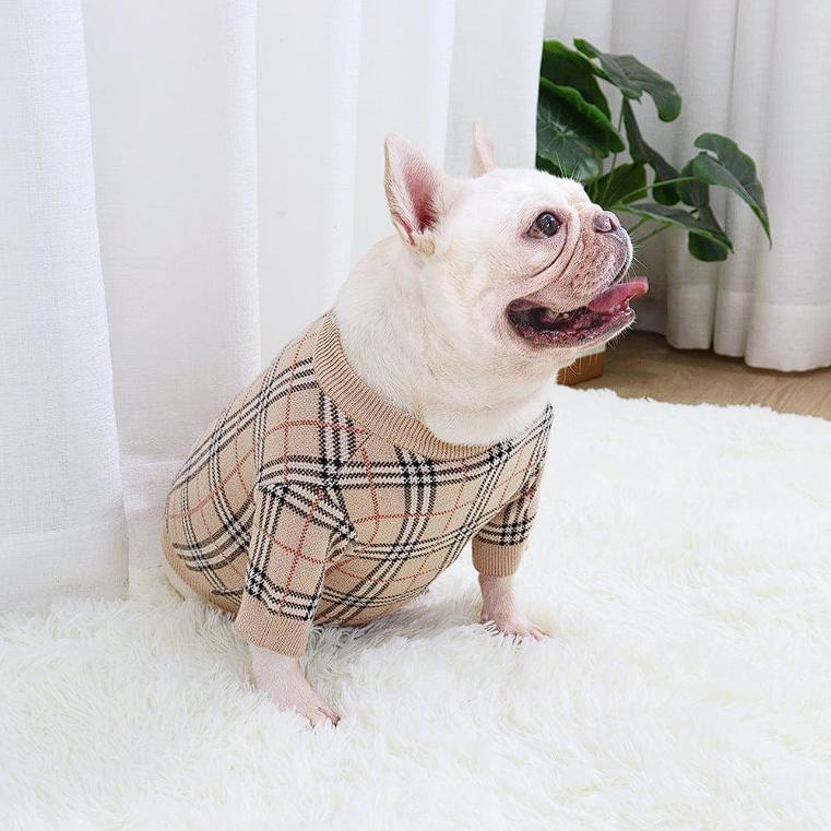 Frenchie Complex - French Bulldog Harnesses, Clothes, Leashes & More