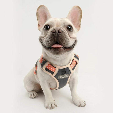 french bulldog harnesses