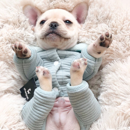 french bulldog pajamas