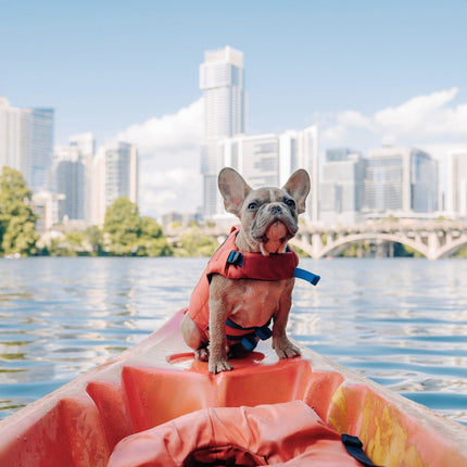 french bulldog life jackets
