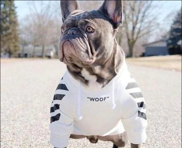 french bulldog hoodies