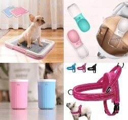 Necessary for french bulldogs