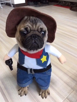 Im a Cowboy - Frenchie Halloween Costume - S - Frenchie Complex Shop