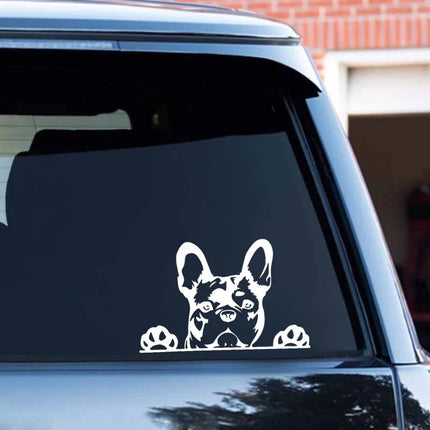 French Bulldog Decal Sticker - White - Frenchie Complex Shop