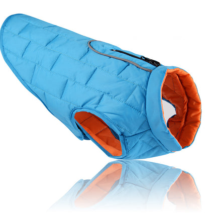 Reversible Jacket for French Bulldog - S / Blue - Frenchie Complex Shop