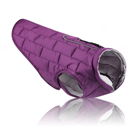 Reversible Jacket for French Bulldog - M / Purple - Frenchie Complex Shop