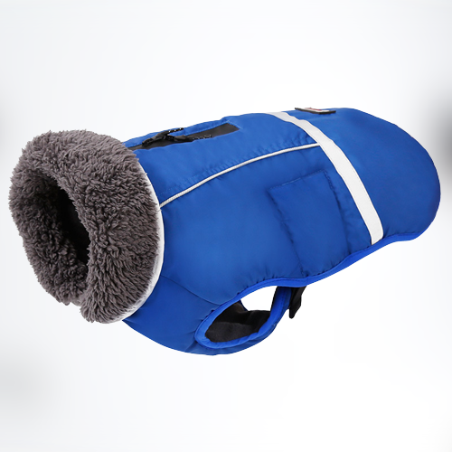 Ultra Warm French Bulldog Coat - S / Blue - Frenchie Complex Shop