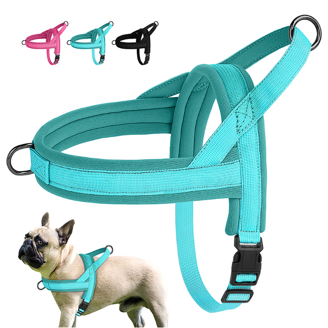 Adjustable French Bulldog Harness - Frenchie Complex Shop