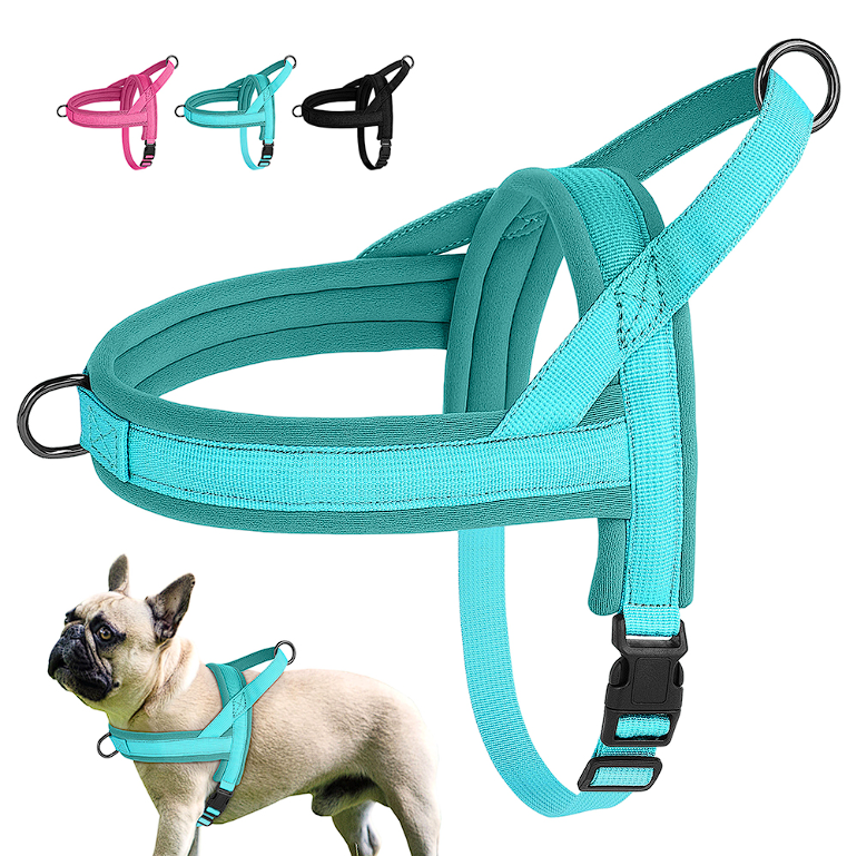 Adjustable French Bulldog Harness - Frenchie Complex Shop