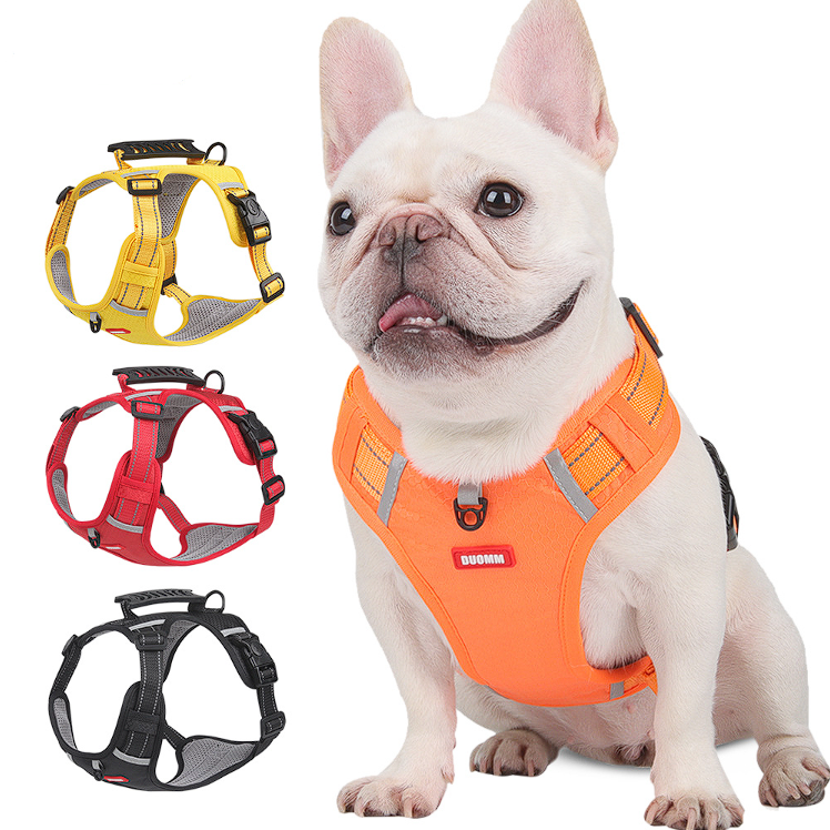 Comfy French Bulldog Harness - Frenchie Complex Shop