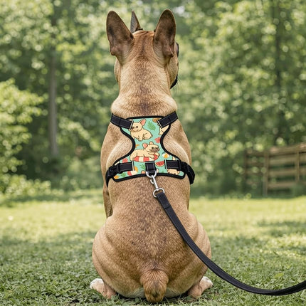 Cute Design Frenchie Harness by Frenchie Complex™