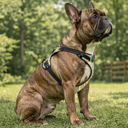Cute Design Frenchie Harness by Frenchie Complex™