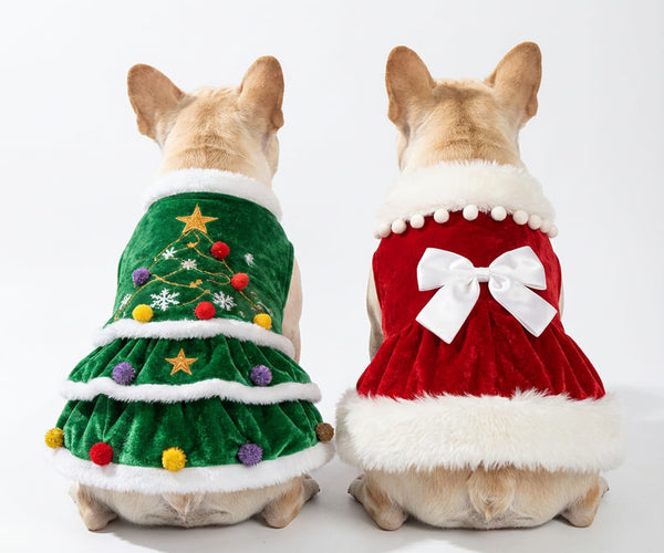 french bulldog christmas dress Our beloved Aria in her holiday dress :) : r/Frenchbulldogs