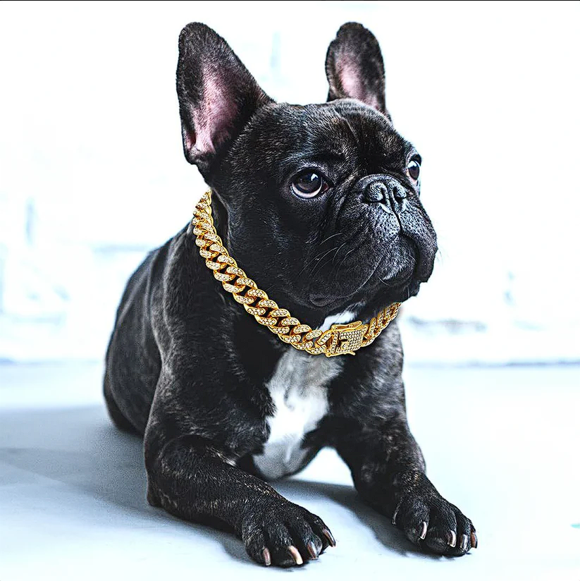 Collar size for french bulldog online