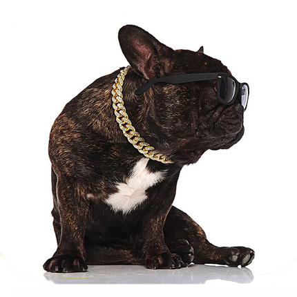 Cuban French Bulldog Collar - Frenchie Complex Shop