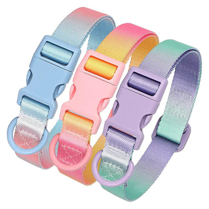 Nylon French Bulldog Collar - Frenchie Complex Shop