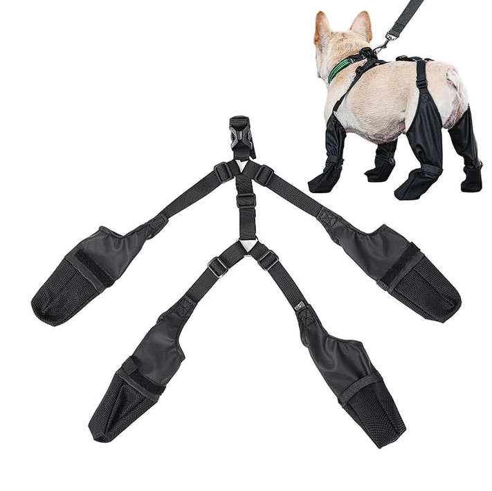 French Bulldog Footwear Paws Protector - S / New model - Frenchie Complex Shop