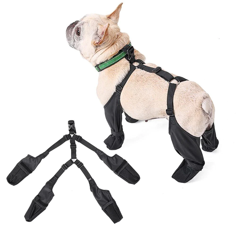French Bulldog Footwear Paws Protector - Frenchie Complex Shop