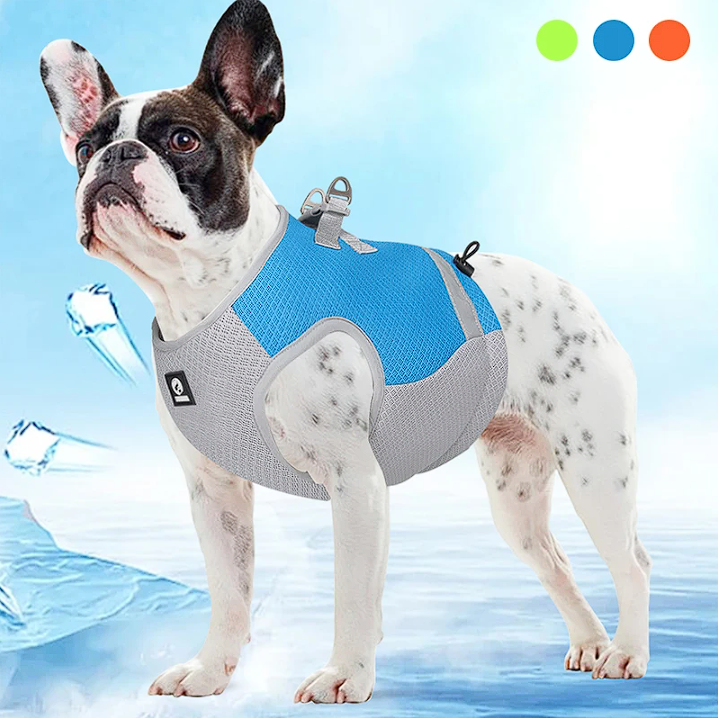 Cooling French Bulldog Harness Vest - Frenchie Complex Shop