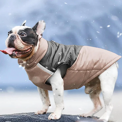 Waterproof French Bulldog Jacket Vest - Khaki / S - Frenchie Complex Shop