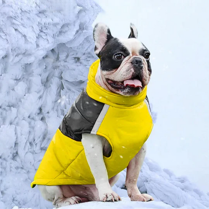 Waterproof French Bulldog Jacket Vest - Yellow / S - Frenchie Complex Shop