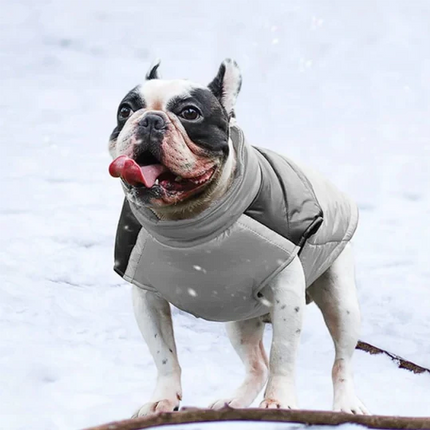 Waterproof French Bulldog Jacket Vest - Grey / S - Frenchie Complex Shop