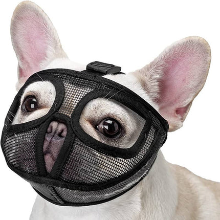 French Bulldog Muzzle - S / Black - Frenchie Complex Shop