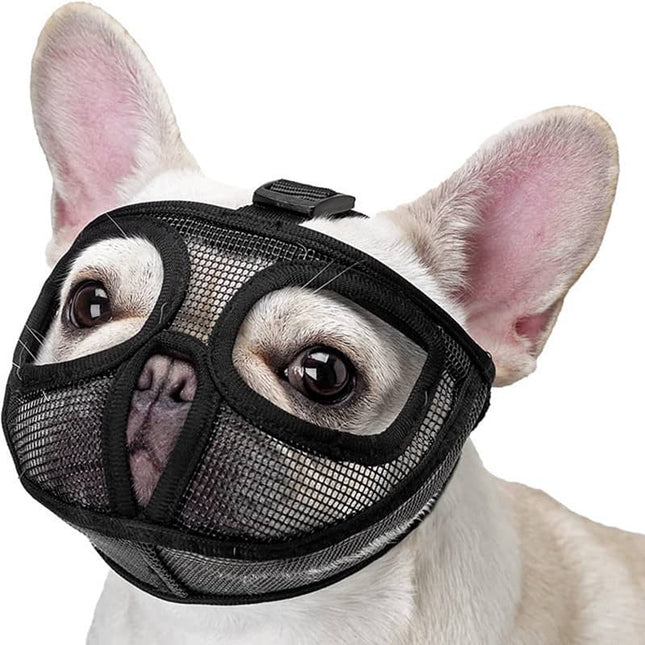 French Bulldog Muzzle