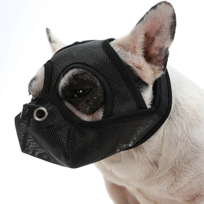 Premium French Bulldog Muzzles - Black / S - Frenchie Complex Shop