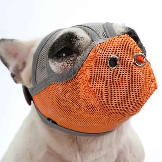 Premium French Bulldog Muzzles - Gray orange / S - Frenchie Complex Shop