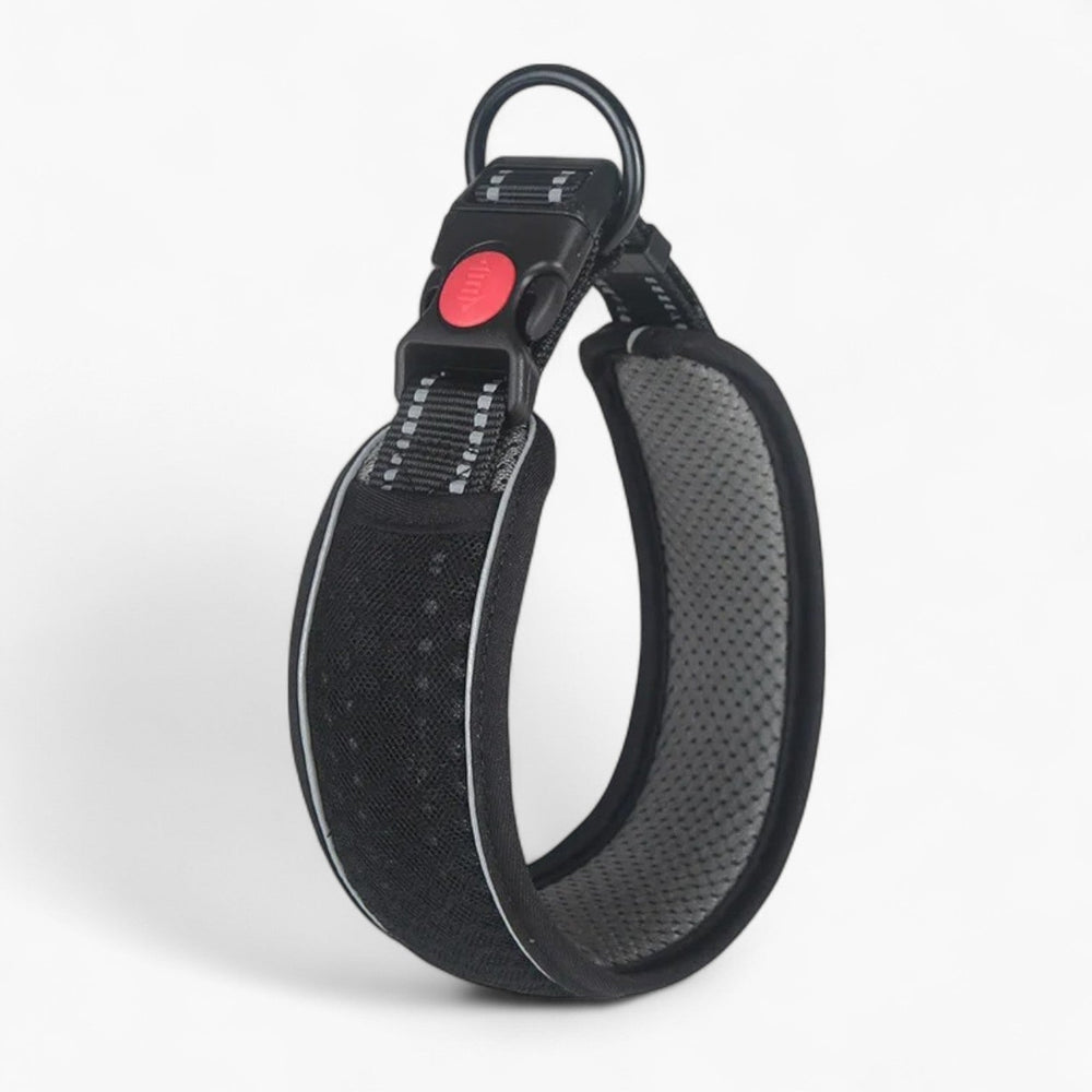 French Bulldog Reflective Collar - Black / XS - Frenchie Complex Shop