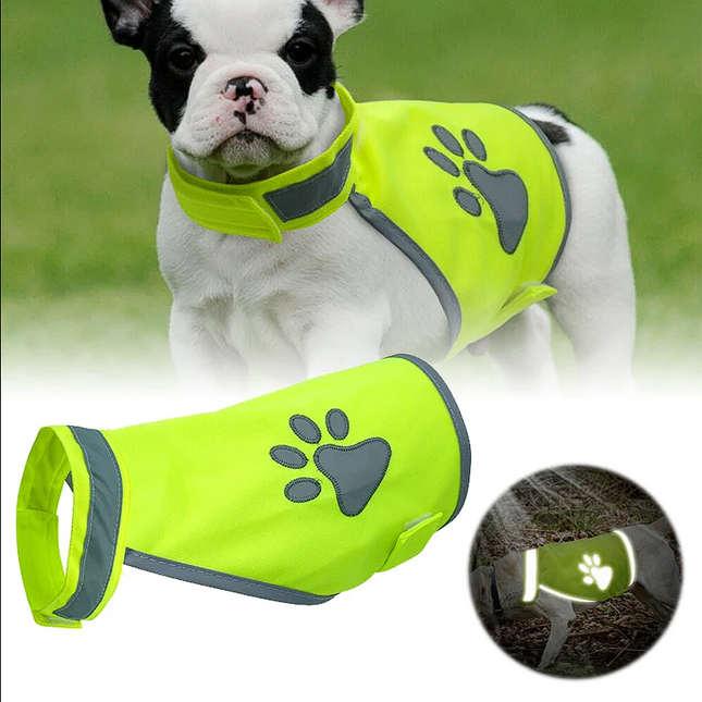 French Bulldog Reflective Safety Vest - Frenchie Complex Shop