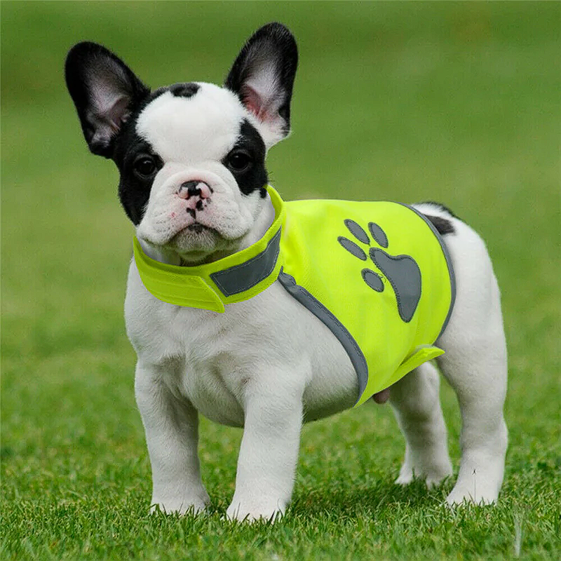 French Bulldog Reflective Safety Vest - S / Green - Frenchie Complex Shop