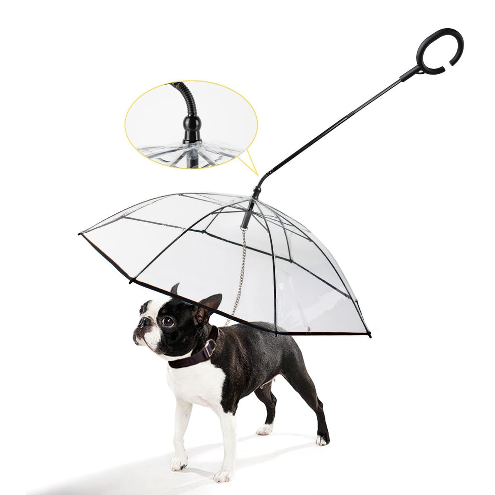 French Bulldog Walking Umbrella - Frenchie Complex Shop