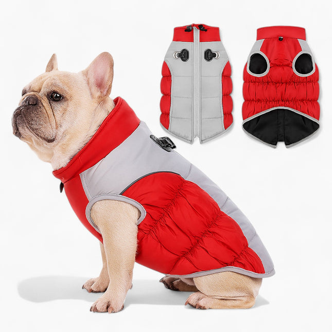 French Bulldog Winter Coat – Warm Padded Dog Jacket - Red / XL - Frenchie Complex Shop