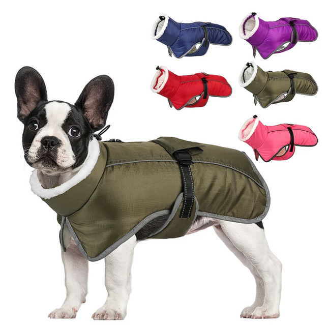 French Bulldog Reflective Coat - Purple / S - Frenchie Complex Shop