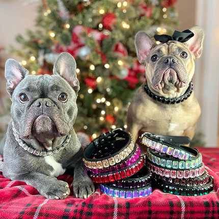 Luxury French Bulldog Collars - Frenchie Complex Shop
